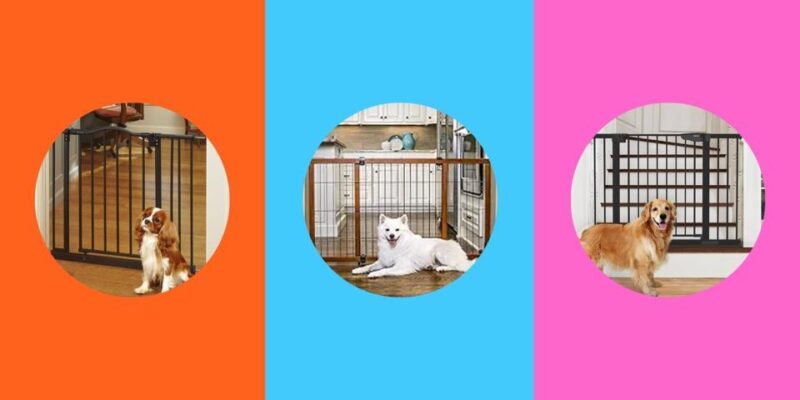 Top 10 Best Dog Gates 2026