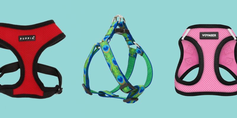 Top 10 Best Dog Harnesses 2026