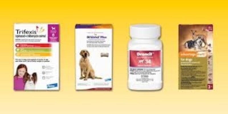 Top 10 Best Pet Dewormers 2026