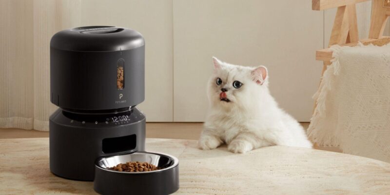 Top 10 Best Pet Food Dispensers 2026